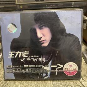十五分钟前的老VCD音乐歌盘 男歌手 王力宏 心中的目标