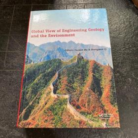 Global View of Engineering Geology and the Environment