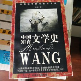 中国知青文学史