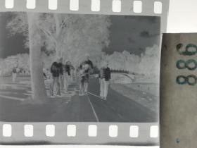 人像摄影 六七十年代老底片 1张 80 南湖边