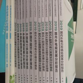 能源与电力分析年度报告系列2019