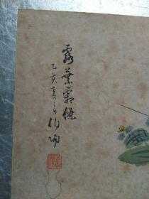 D467：回流手绘硬卡纸花草图(日本回流字画.回流老画.老字画)