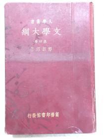 大学丛书 民国精装《文学大纲》存第四册