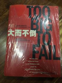 大而不倒：2010年全球政要和首席执行官争相阅读的金融危机启示录