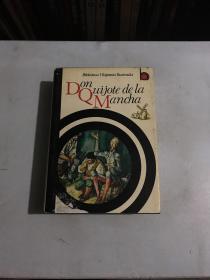 don quijote de la mancha