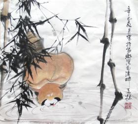 秦天柱 花鸟斗方（小熊猫） 手绘国画作品