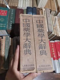 中国药学大词典（原函原套两册全）