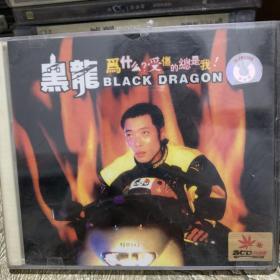 十五年前的老VCD 音乐歌盘 男歌手 黑龙 为什么受伤的总是我