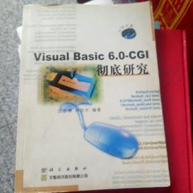 Visual Basic-CGI彻底研究