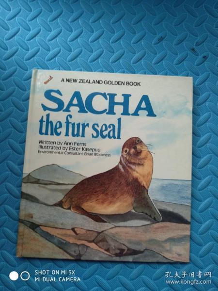SACHA  the fur seal