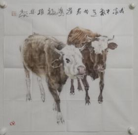 保真书画，当代画牛名家郑柏林国画《我家牛气足，为君运鸿福》一幅，尺寸69×69cm