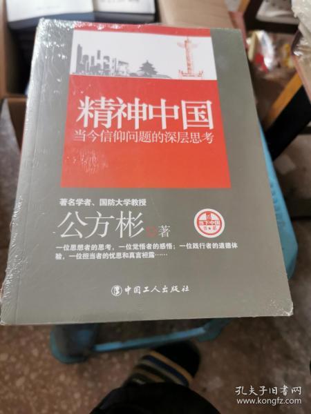 看当下中国书系·精神中国：当今信仰问题的深层思考