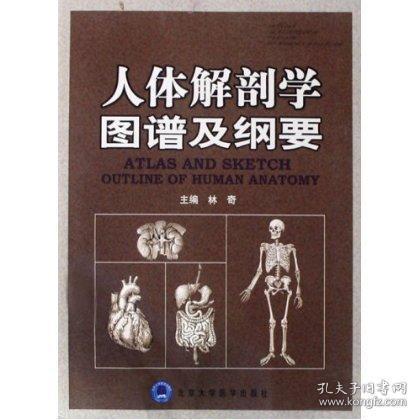 人体解剖学图谱及纲要