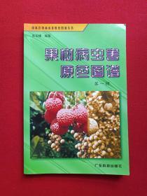 《果树病虫害原色图谱》第一册2001年1月1版1印（广东科技出版社，张宝棣著，限印5000册）