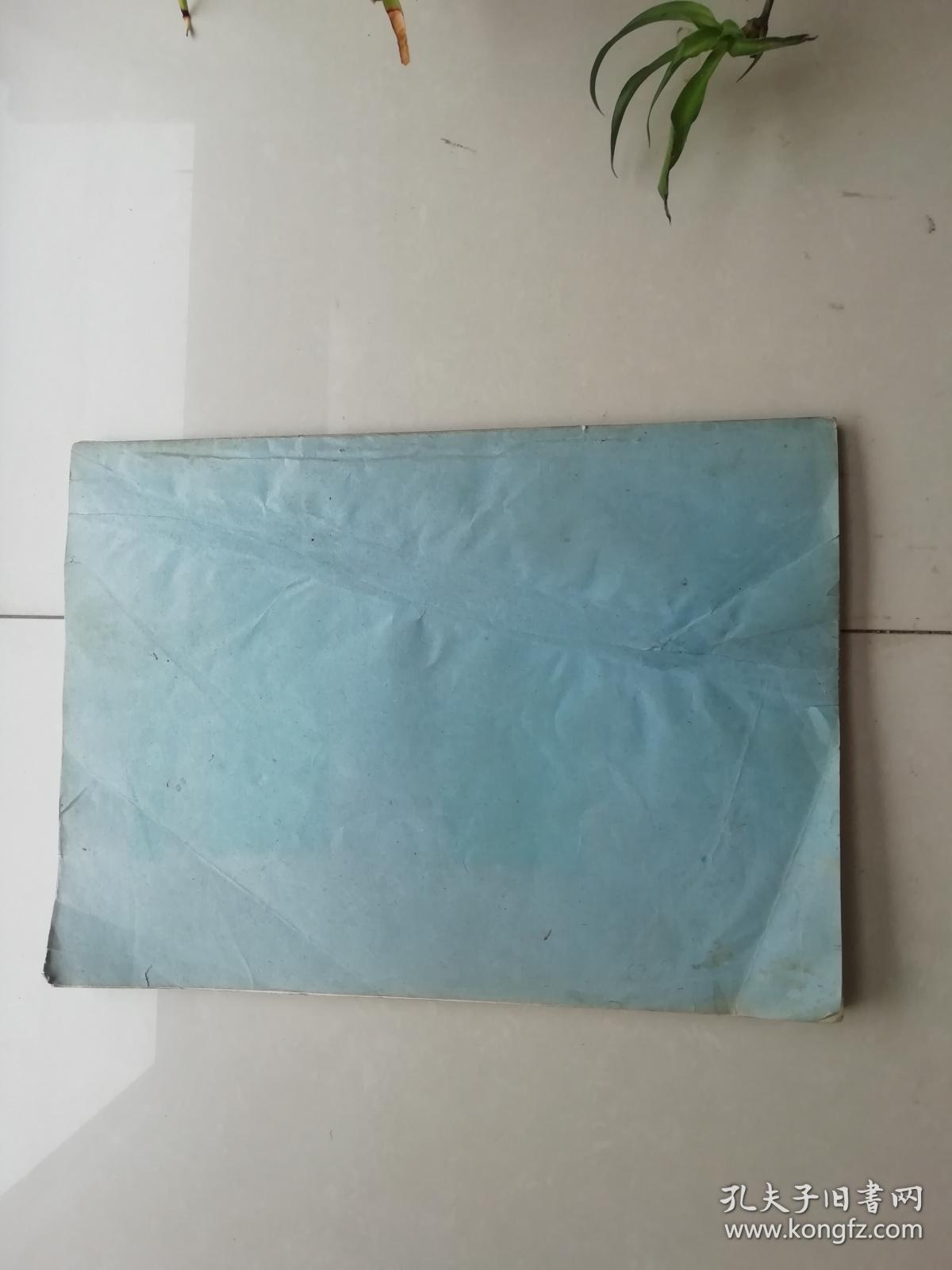 耳穴诊疗法讲义