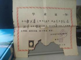 1982年山东平原第四中学高中部毕业证。(三张中一张全，另两张残损见图