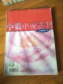 中篇小说选刊 文学双月刊 1999.1