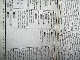 《中华大字典》（影印本、上下册）