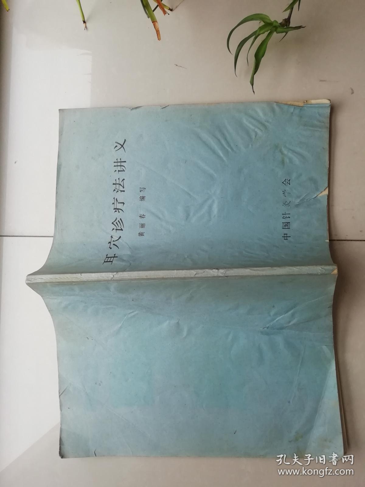 耳穴诊疗法讲义