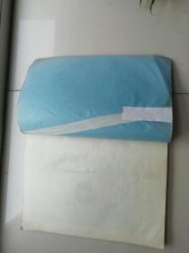 耳穴诊疗法讲义