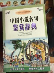 中国小说名句鉴赏辞典