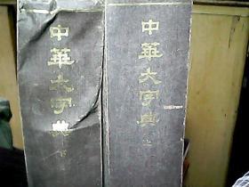 《中华大字典》（影印本、上下册）