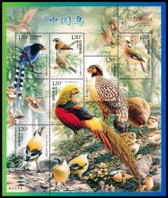 2008-4中国鸟小全张 编年邮票 中国鸟小版
