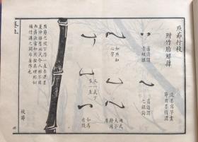简明竹谱