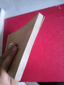 欲望的城市：海上风丛书