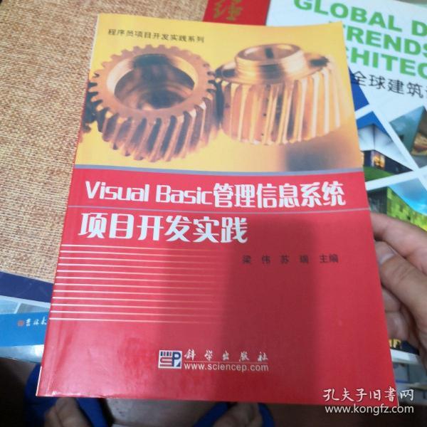 Visual Basic管理信息系统项目开发实践——程序员项目开发实践系列