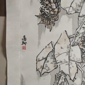 花鸟画