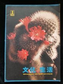 文化与生活1980-2