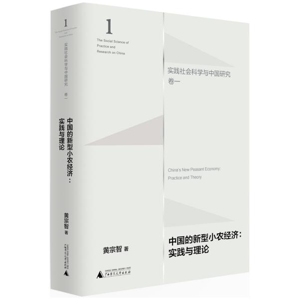 中国的新型小农经济:实践与理论:practice and theory