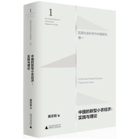 中国的新型小农经济：实践与理论（实践社会科学与中国研究·卷一）  一版一印