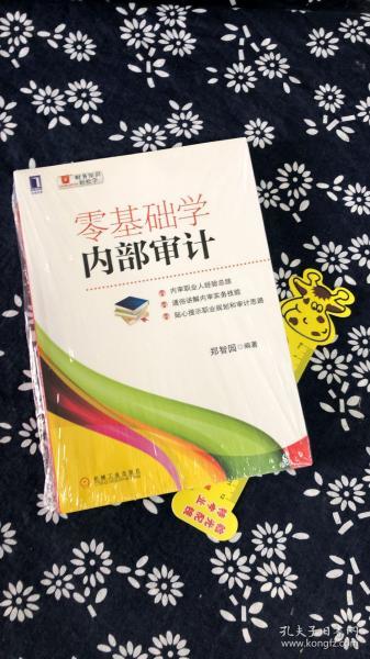 零基础学内部审计