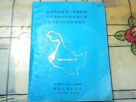 齐齐哈尔市金三角集约化养鱼基地利用世界银行贷款项目可行性研究报告