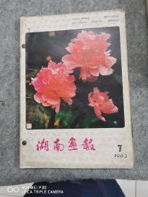 湖南画报 1983（7  8  9）（C24）