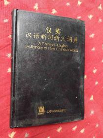 汉英汉语新词新义词典