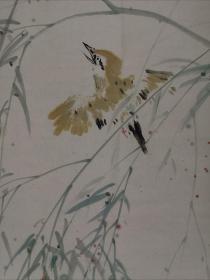 徐洪彬，1983年出生于山东省招远市，2002年考入南开大学东方艺术系，学习中国画，期间受教于孙其峰、陈绶祥、陈玉圃、尹沧海等先生；2006年毕业后继续随尹沧海先生研习中国画至今，现为南开大学书画艺术与美学研究方向硕士研究生。其作品多以花鸟见长，笔墨精湛凝练，意境清逸出尘。2015.1荣获中宣部中国经济网主办的“中国画是大年度艺术家”殊荣。2014.9《濠上观鱼——中华鱼文画书法绘画展。
