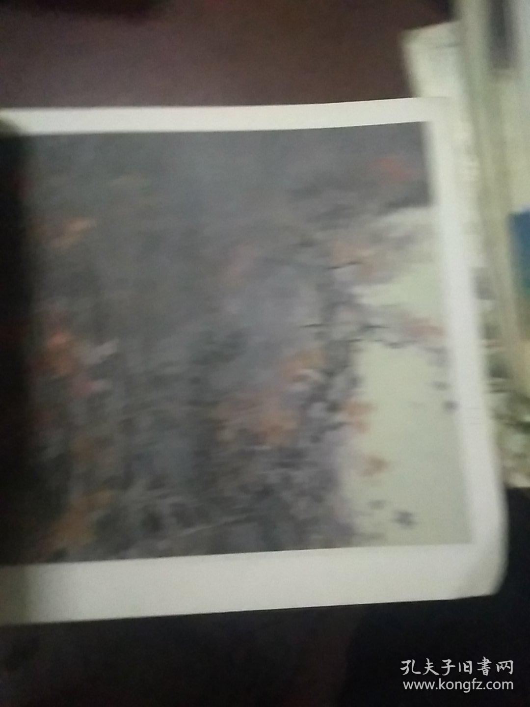 宋雨桂冯大中山水动物部分