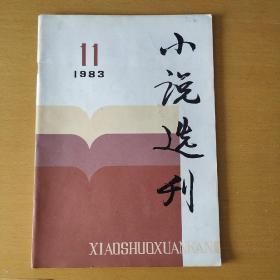 小说选刊
