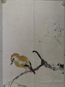 徐洪彬，1983年出生于山东省招远市，2002年考入南开大学东方艺术系，学习中国画，期间受教于孙其峰、陈绶祥、陈玉圃、尹沧海等先生；2006年毕业后继续随尹沧海先生研习中国画至今，现为南开大学书画艺术与美学研究方向硕士研究生。其作品多以花鸟见长，笔墨精湛凝练，意境清逸出尘。2015.1荣获中宣部中国经济网主办的“中国画是大年度艺术家”殊荣。2014.9《濠上观鱼——中华鱼文画书法绘画展。