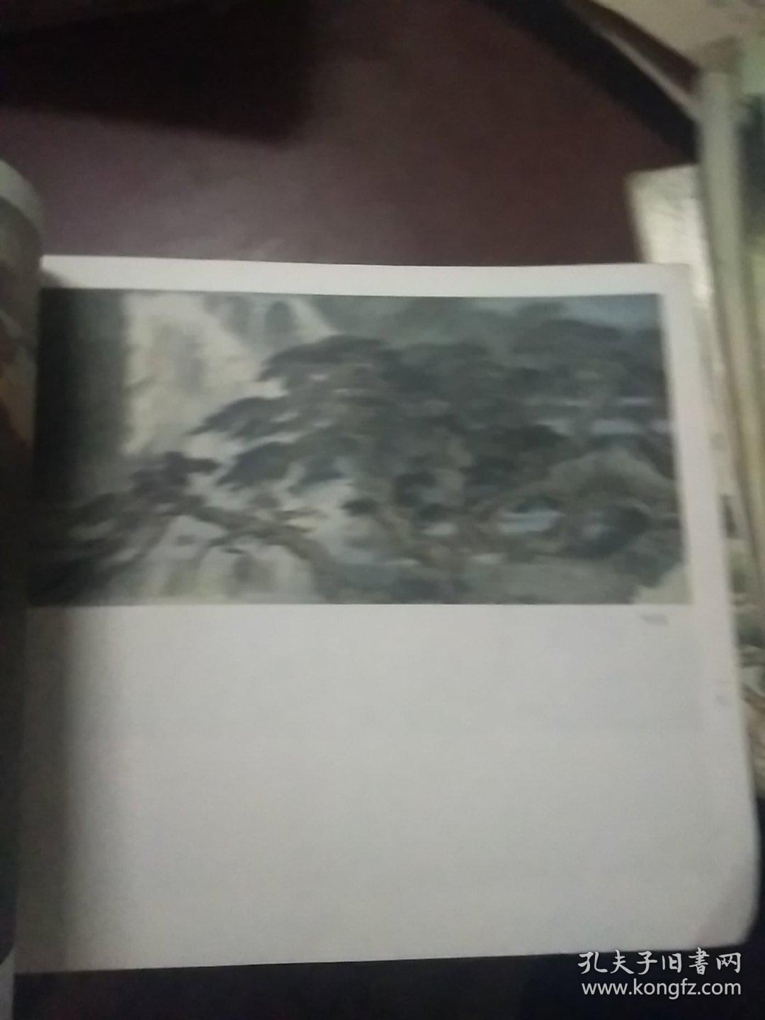 宋雨桂冯大中山水动物部分