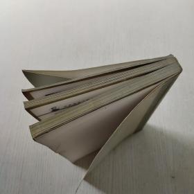 邓小平传 中国中共党史人物研究会编