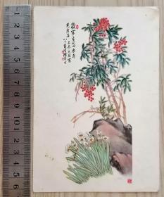 小画片-纸片1746：水仙与天竹