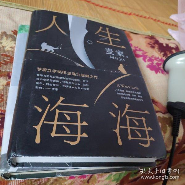 麦家：人生海海（茅盾文学奖得主麦家2019年强力之作）