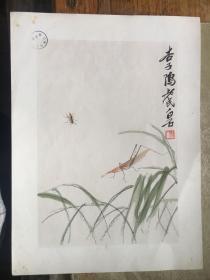 4开   荣宝斋新记。。。。木版水印.......《白石老人画册》........18张