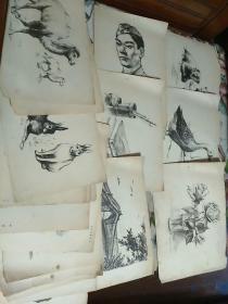 素描画 散页 30张