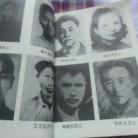华蓥魂，广安县党史资料丛书第一辑