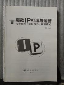 爆款IP打造与运营：内容创作+吸粉技巧+赢利模式